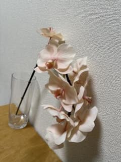 east side tokyo 造花 アートフラワー 胡蝶蘭 ベージュインテリアのサムネイル