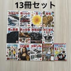 小学館の図鑑　13冊まとめ売り ハッピーセット 小学館の図鑑NEO 13冊セット まとめ売り - メルカリ