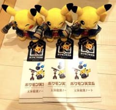 ポケモン天文台限定 ほしぞらピカチュウ3個 ノート•認定書付き3冊