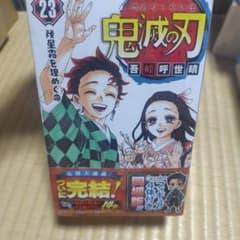 귀멸의 칼날 Qposket 23