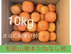 柿　たねなし柿　ひらたね柿　和歌山橋本 10Kg＋オマケ柿のサムネイル