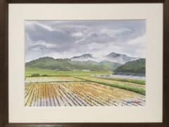 水彩画「雨上がりの水田」のサムネイル