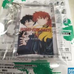 一番くじウィンドブレーカー5周年 F賞単行本アクリッツキーホルダー 17