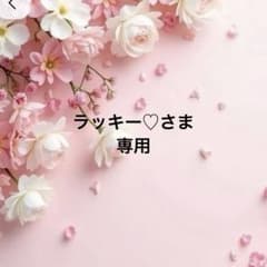ラッキー♡様専用❤️2点❤️ドールチャーム❤️ハンドメイド