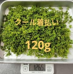 花山椒 120g 新潟県産 4/18(木)今ほど収穫しました - メルカリ