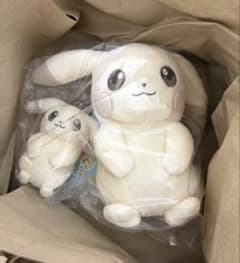 ぽこあポケモン うすいろピカチュウ ２点セットのサムネイル