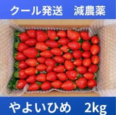 【翌日発送×減農薬】宮崎の甘熟冷凍いちご 10kg やよいひめ 冷蔵発送】宮崎県産 やよいひめ いちご 2kg 訳あり 減農薬 - メルカリ
