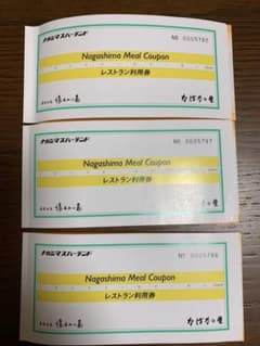 ナガシマミールクーポン 2500円分のサムネイル