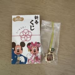 ディズニーストア　新春くじ　チップとデールのサムネイル