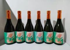 フラミンゴオレンジ 国分酒造 焼酎 芋　関連 安田 村尾 魔王 黒木本店 霧島 フラミンゴオレンジ 国分酒造 焼酎 芋 関連 安田 村尾 魔王 黒木本店