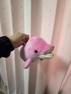 イルカのぬいぐるみ（ピンク・水色）のサムネイル