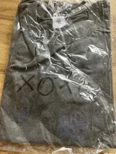 aiko★ライブTシャツ　LOVE LIKE POP vol.11★のサムネイル