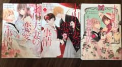 才川夫妻の恋愛事情 1、2、3巻のサムネイル