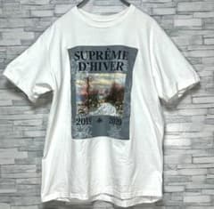 【激レア】supreme プリントT Mサイズのサムネイル