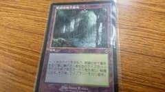 MTG 新緑の地下墓地のサムネイル