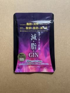 減脂GINのサムネイル