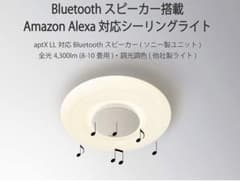 【SONY】MFL-1000A【マルチファンクションライト】のサムネイル
