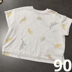 애플레쿨 90 접촉 냉감 공룡 반소매
