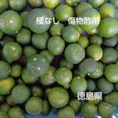 種なしすだち　傷物酢用　１０キロのサムネイル