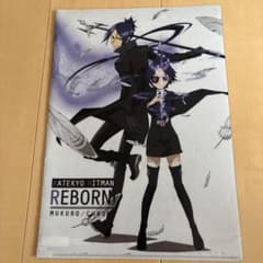 希少】家庭教師ヒットマンREBORN 六道骸 クローム髑髏 クリアファイル