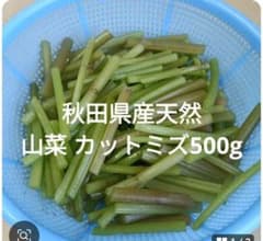 秋田県産天然 山菜 カットミズ500g - メルカリ