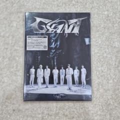 Stray Kids GIANT 初回生産限定盤B CD+スペシャルZINE付 - メルカリ