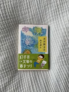 君が降る日　島本理生のサムネイル