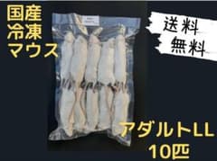 国産 冷凍マウスアダルト L 10匹 (送料無料一部地域発送不可) - メルカリ