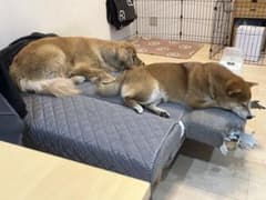 マナラ　ホットクレンジングゲル　マッサージプラスのサムネイル