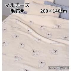 【完売】正規品♡新品未開封♡ジェラートピケ♡ドッグ柄プリント毛布♡マルチーズ 完売】正規品♡新品未開封♡ジェラートピケ♡ドッグ柄プリント毛布