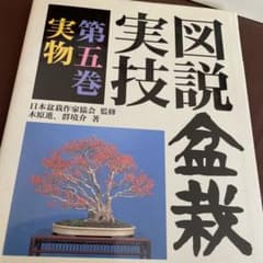 図説盆栽実技 第5巻 (実物)のサムネイル