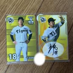 阪神タイガース オンサイトカード 2025年 第1弾 伊原陵人 - メルカリ