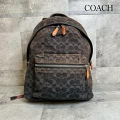 COACH シグネチャー バッグパック グレー RG584 - メルカリ
