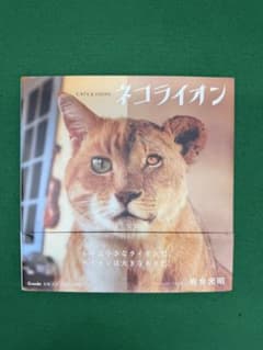 【美品】岩合光昭 ネコライオン