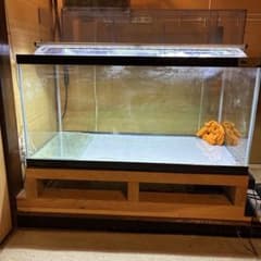 90✖️45✖️45 GEXガラス水槽セット 引き取り限定 - メルカリ
