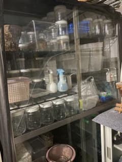 昆虫ブリードセット一式のサムネイル