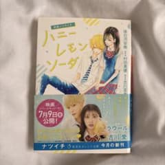ハニーレモンソーダ 小説のサムネイル