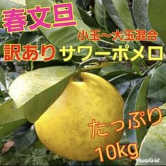 【鹿児島産】サワーポメロ 10kg 【訳あり・ご家庭用】のサムネイル