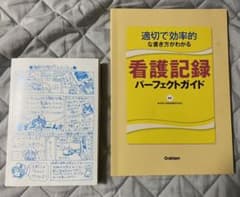 適切で効率的な書き方がわかる看護記録パーフェクトガイドのサムネイル