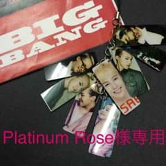 Platinum Rose様専用ページ☆はっぴーぽっぽのサムネイル