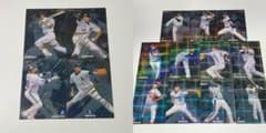 プロ野球チップス 2010 レアカード 15枚　(金箔サイン4枚)のサムネイル