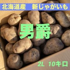 北海道産　とりたて新じゃがいも　男爵10kgのサムネイル