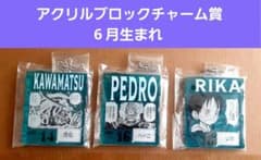 ワンピース ベースショップ アクリルブロックチャーム賞 芽 6月 - メルカリ