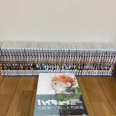 ハイキュー!! 全巻セット、大判画集付きのサムネイル