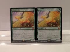 MTG 旅するチョコボ 2枚セット - メルカリ