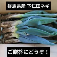 【歳末セール】群馬県農家直送 下仁田ネギ 2L 12本セットのサムネイル