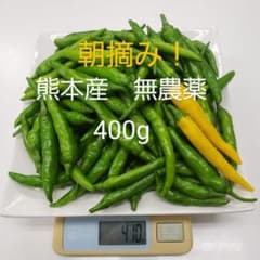 青唐辛子　熊本産　無農薬　400gのサムネイル
