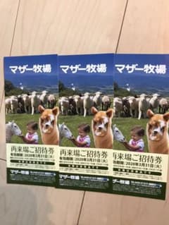 マザー牧場のサムネイル