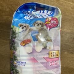 マナーウェア 女の子用 Mサイズのサムネイル