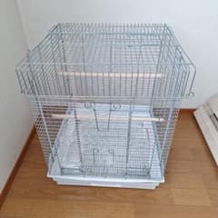 ホーエイ 465オカメのサムネイル